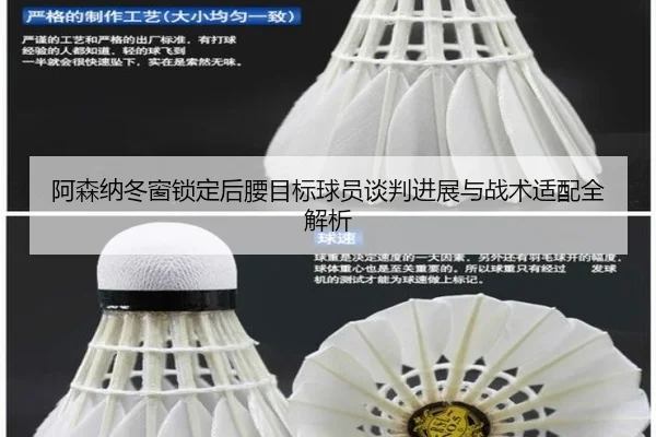 阿森纳冬窗锁定后腰目标球员谈判进展与战术适配全解析